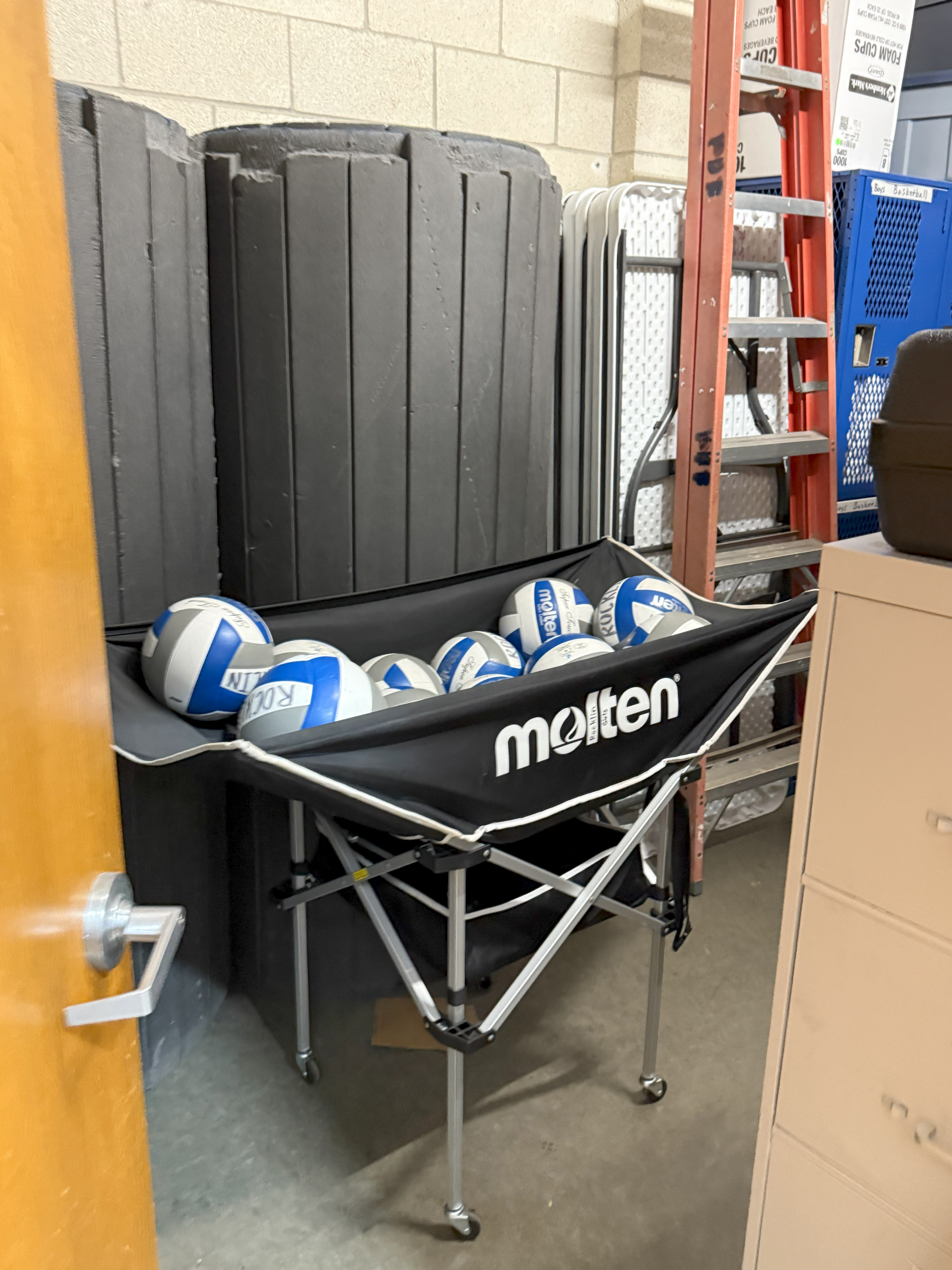 Molten Volleyballs